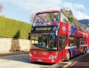 Bus on Street